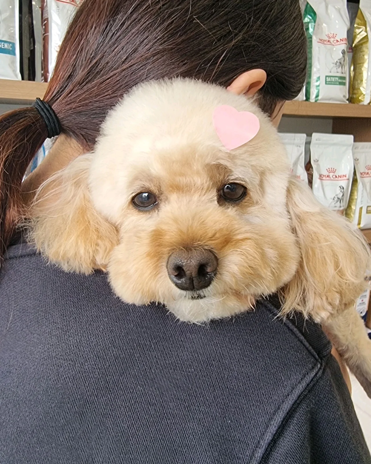 리뷰 사진 2