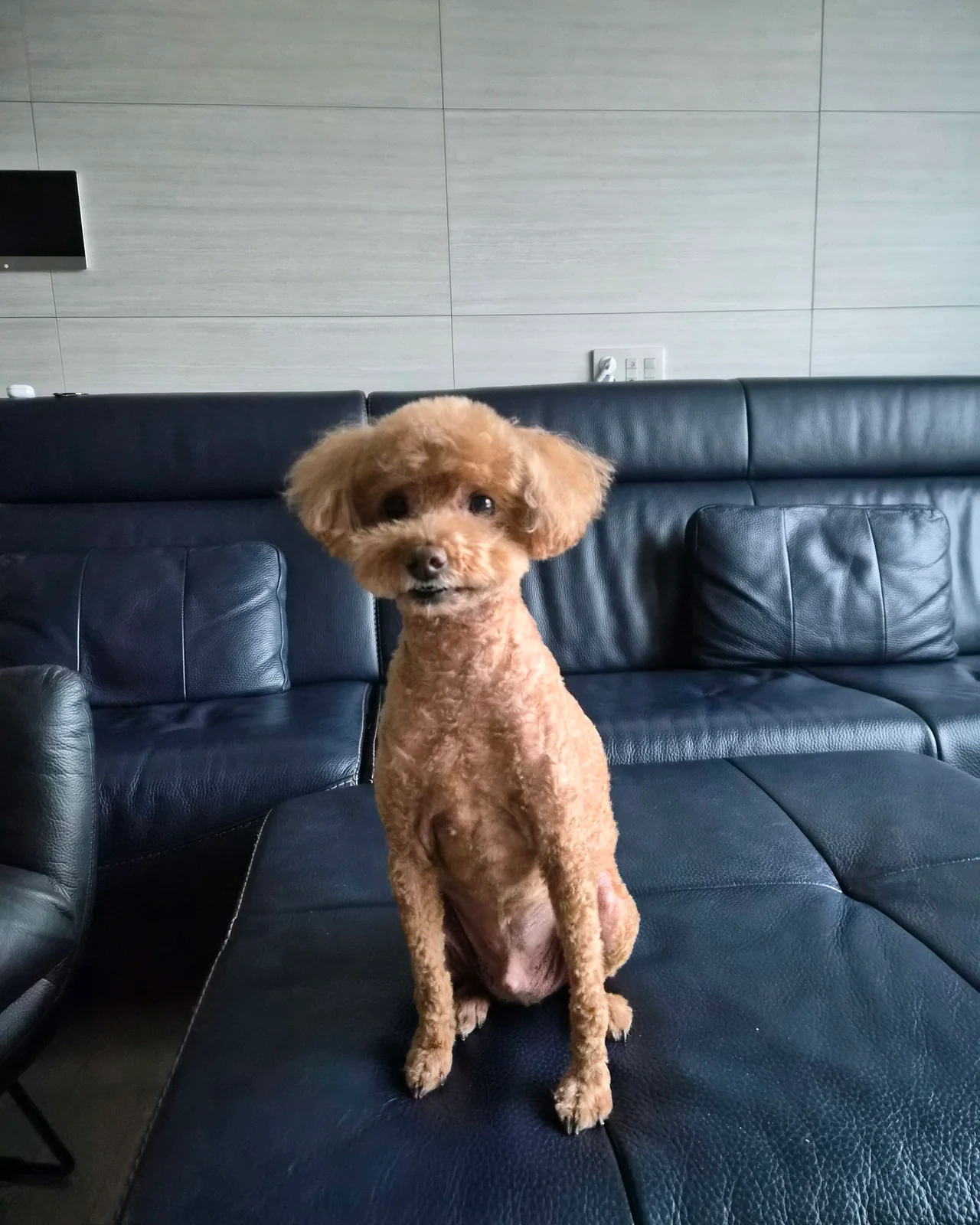 리뷰 사진 1