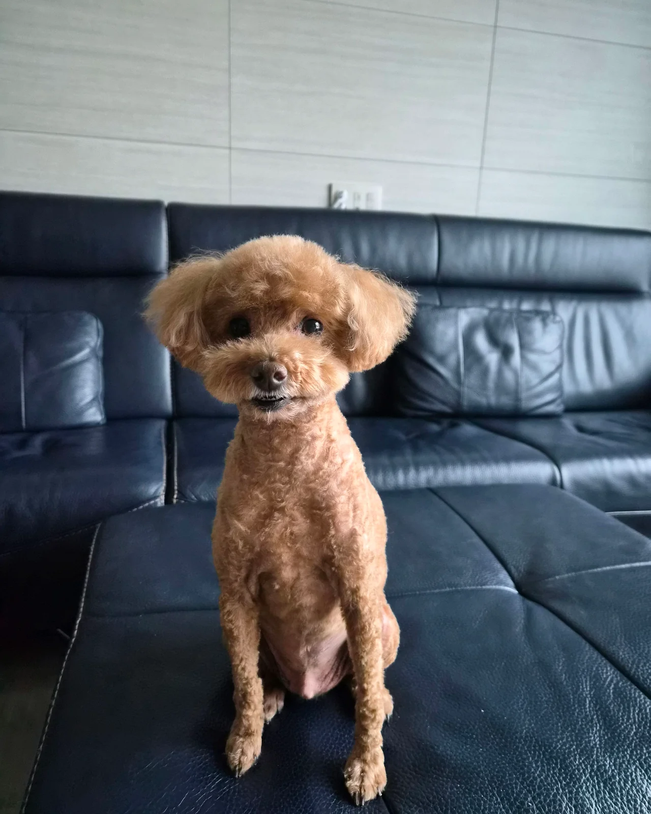 리뷰 사진 2
