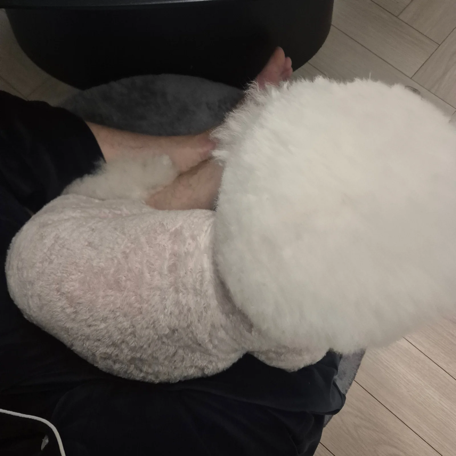 리뷰 사진 1