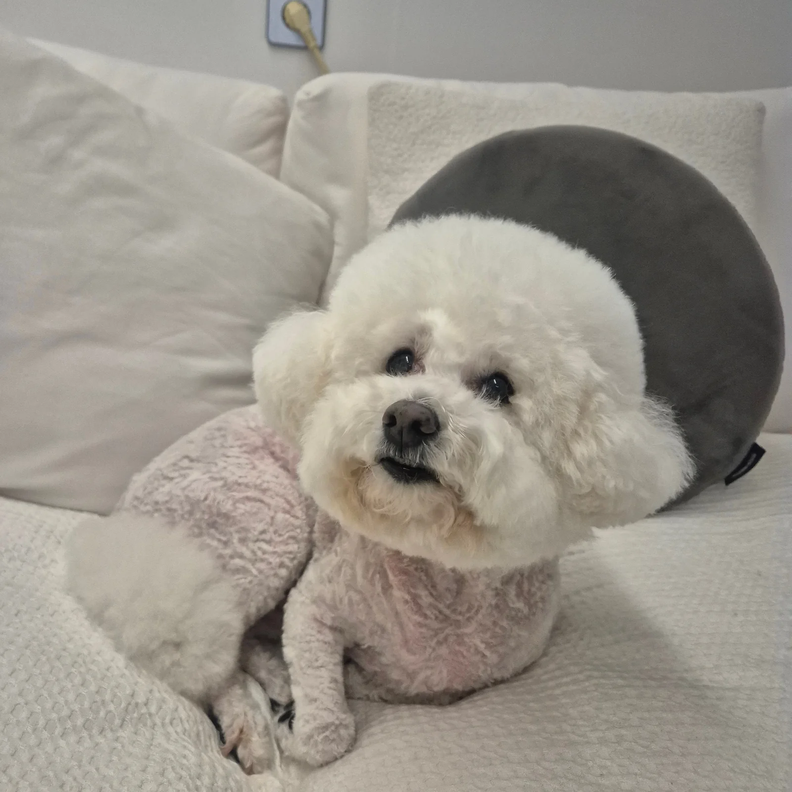 리뷰 사진 2