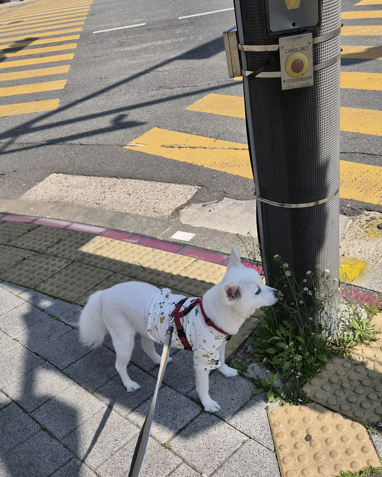 리뷰 사진 2