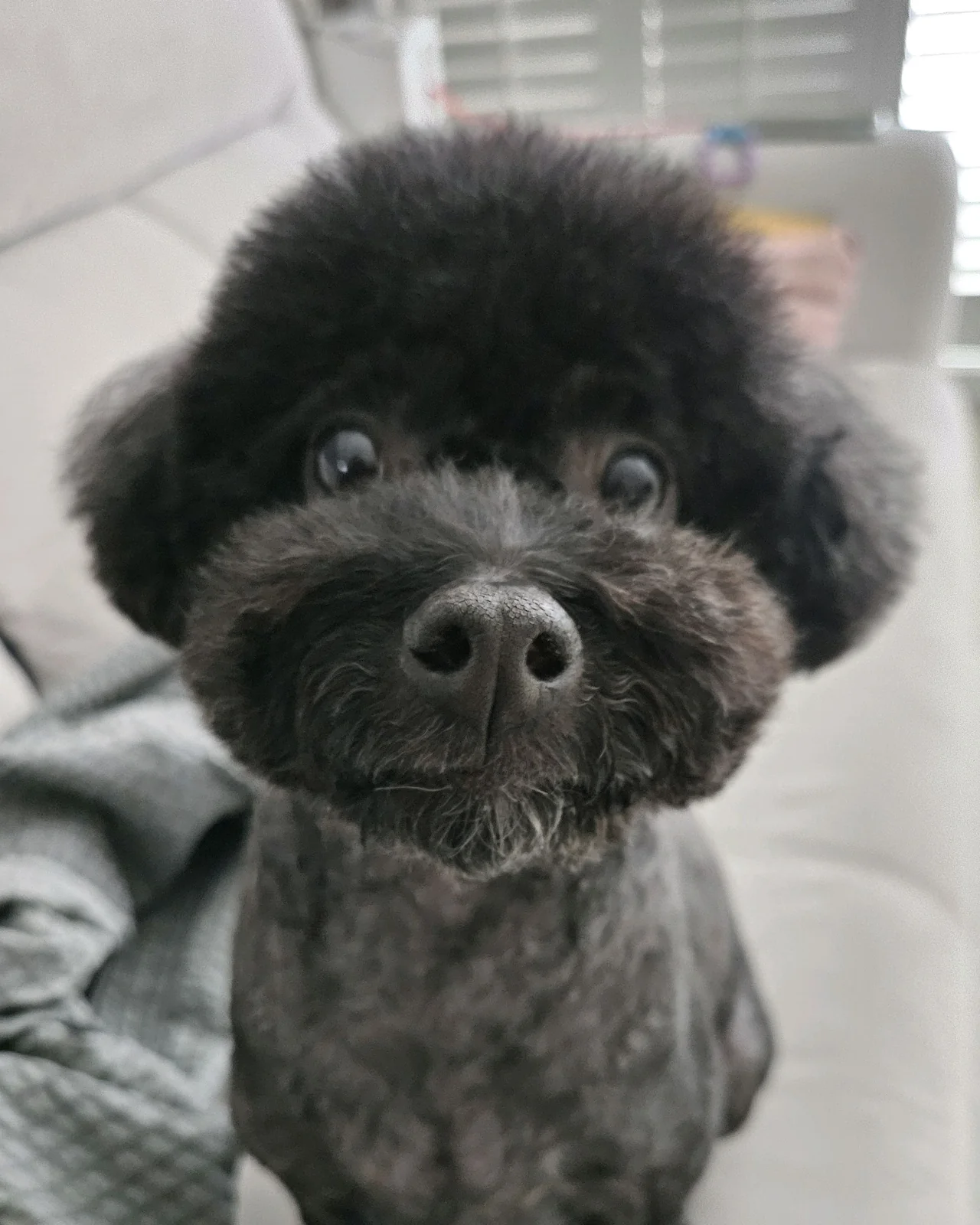 리뷰 사진 1