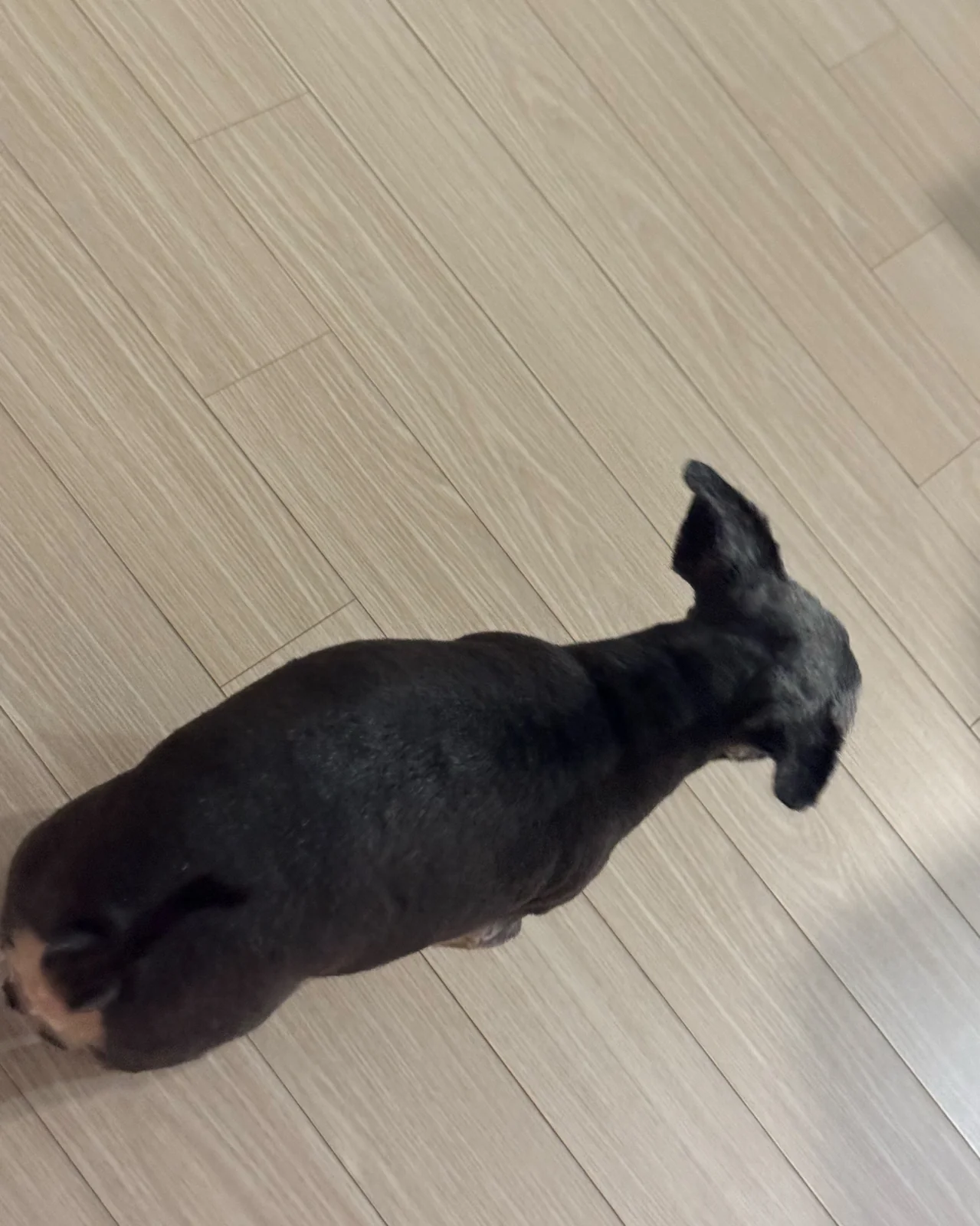 리뷰 사진 3