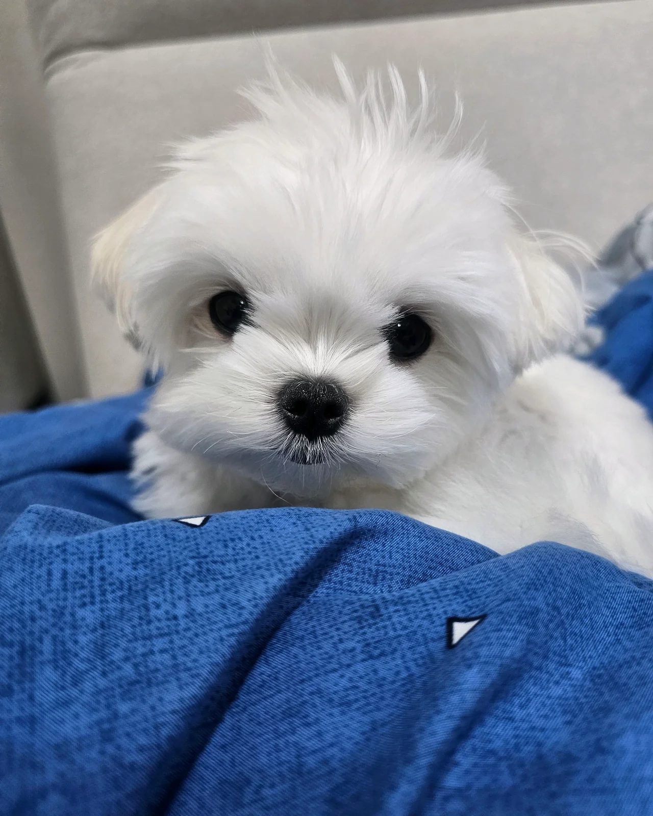 리뷰 사진 1