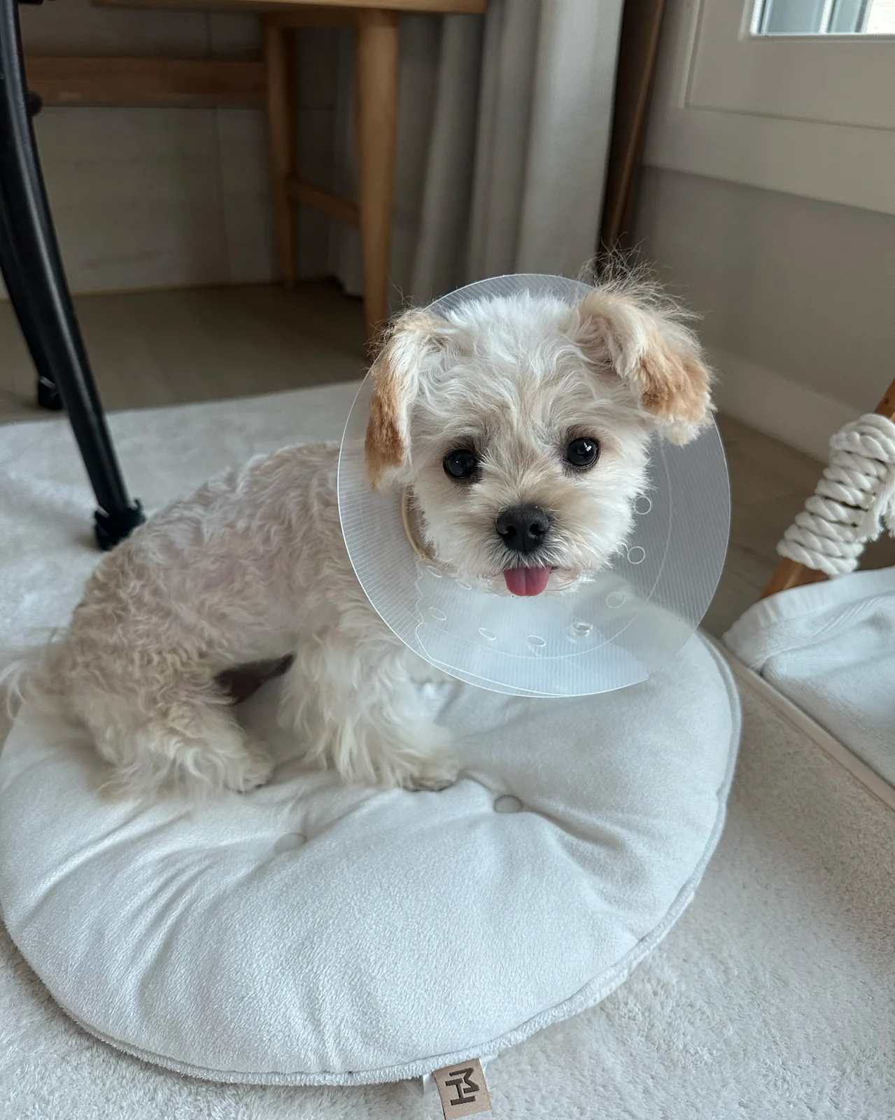 리뷰 사진 1