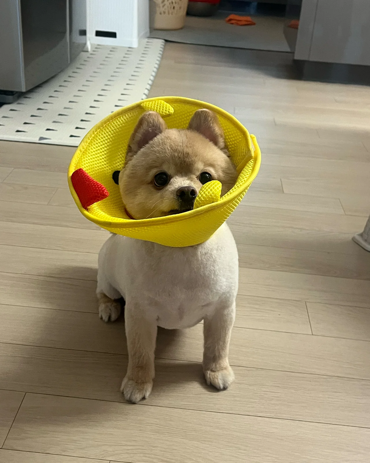 리뷰 사진 1