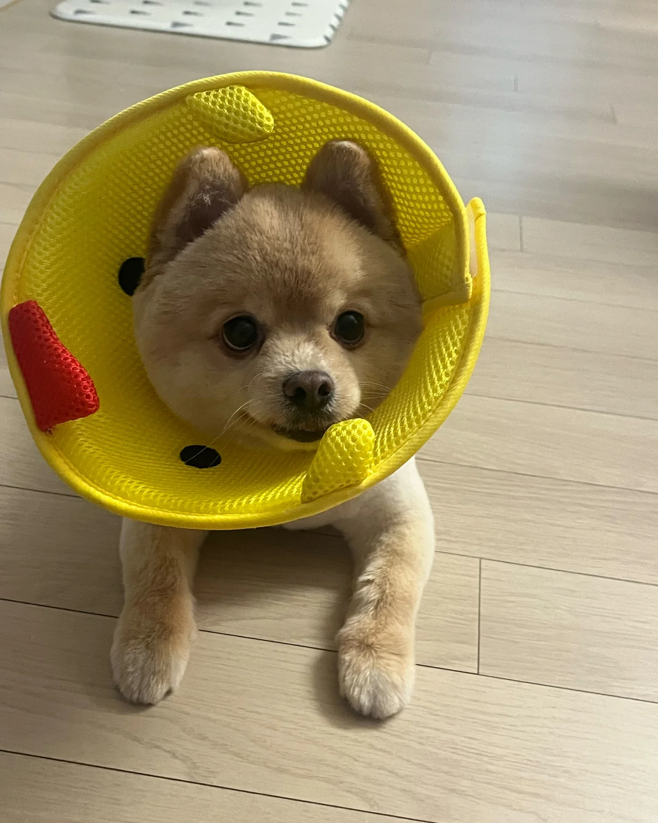리뷰 사진 2
