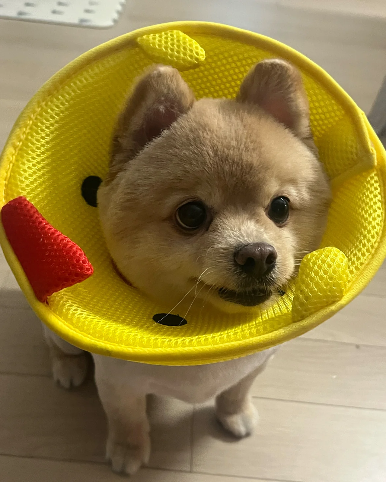 리뷰 사진 3