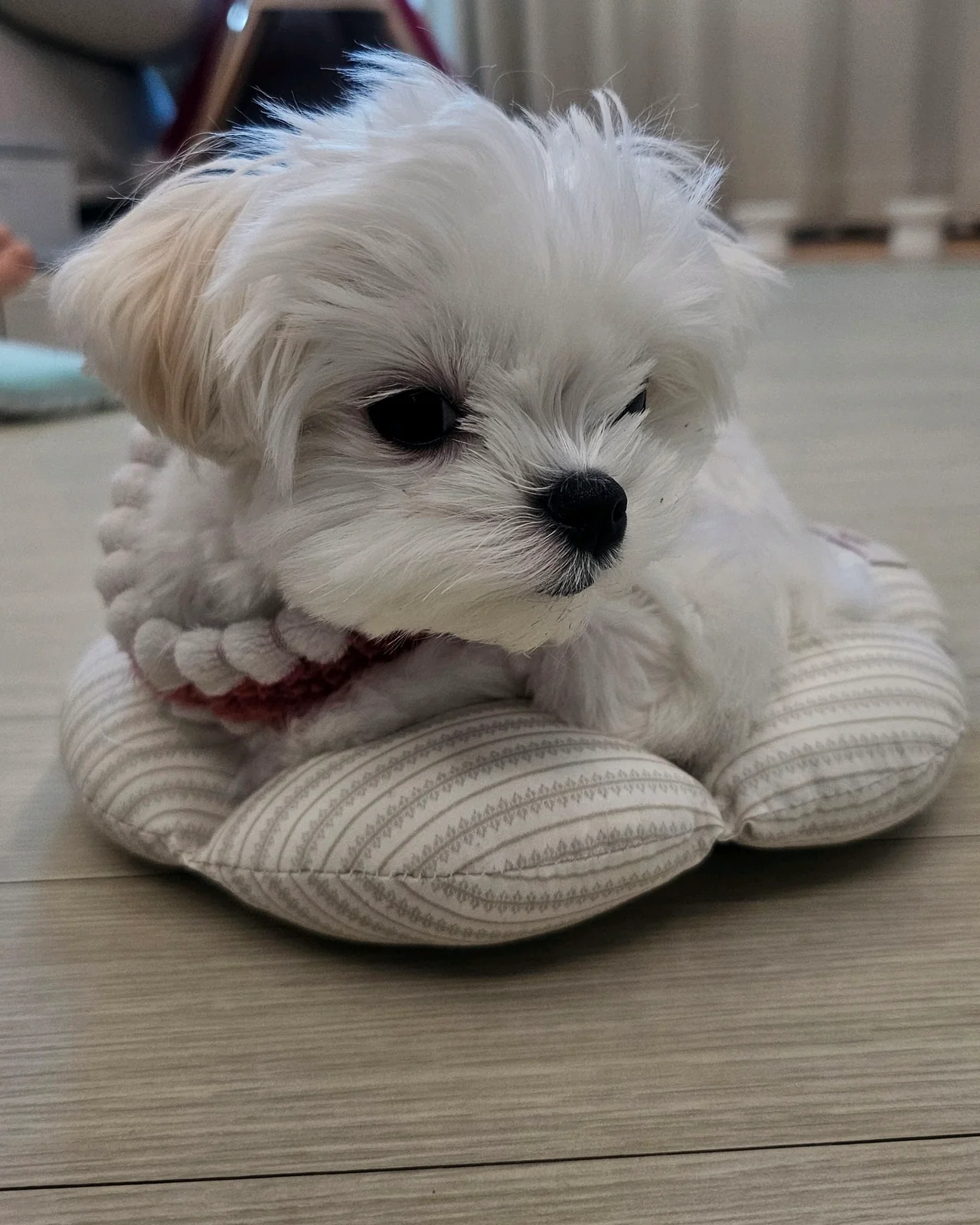 리뷰 사진 1