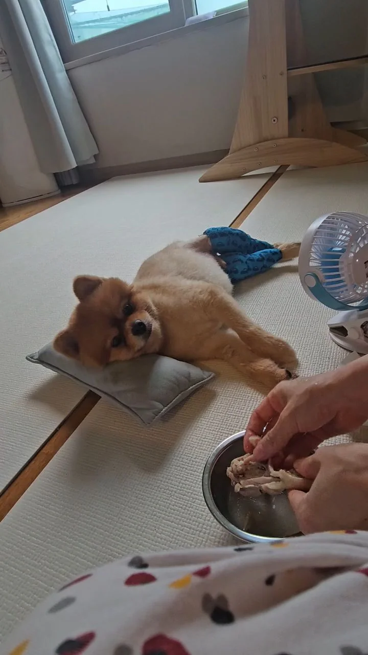 리뷰 사진 1