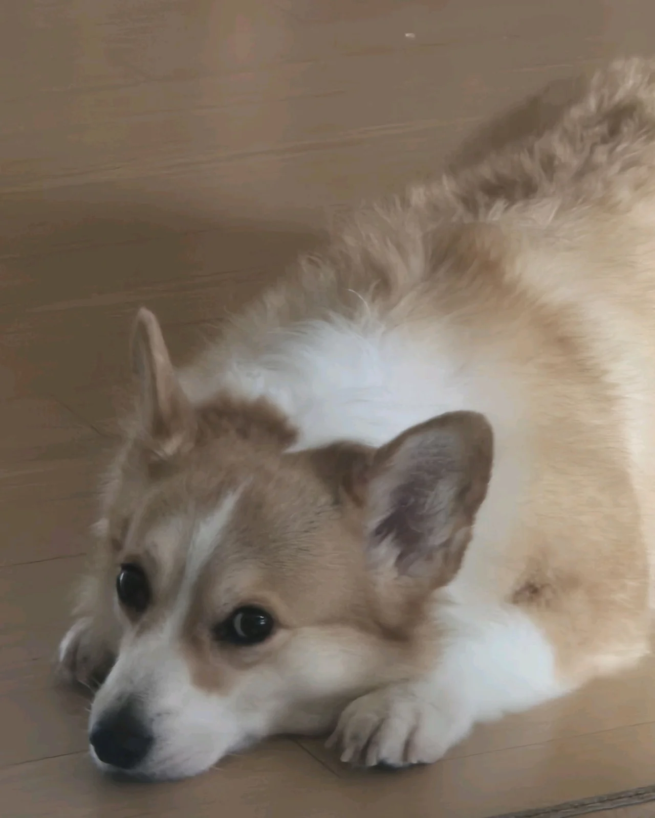 리뷰 사진 1