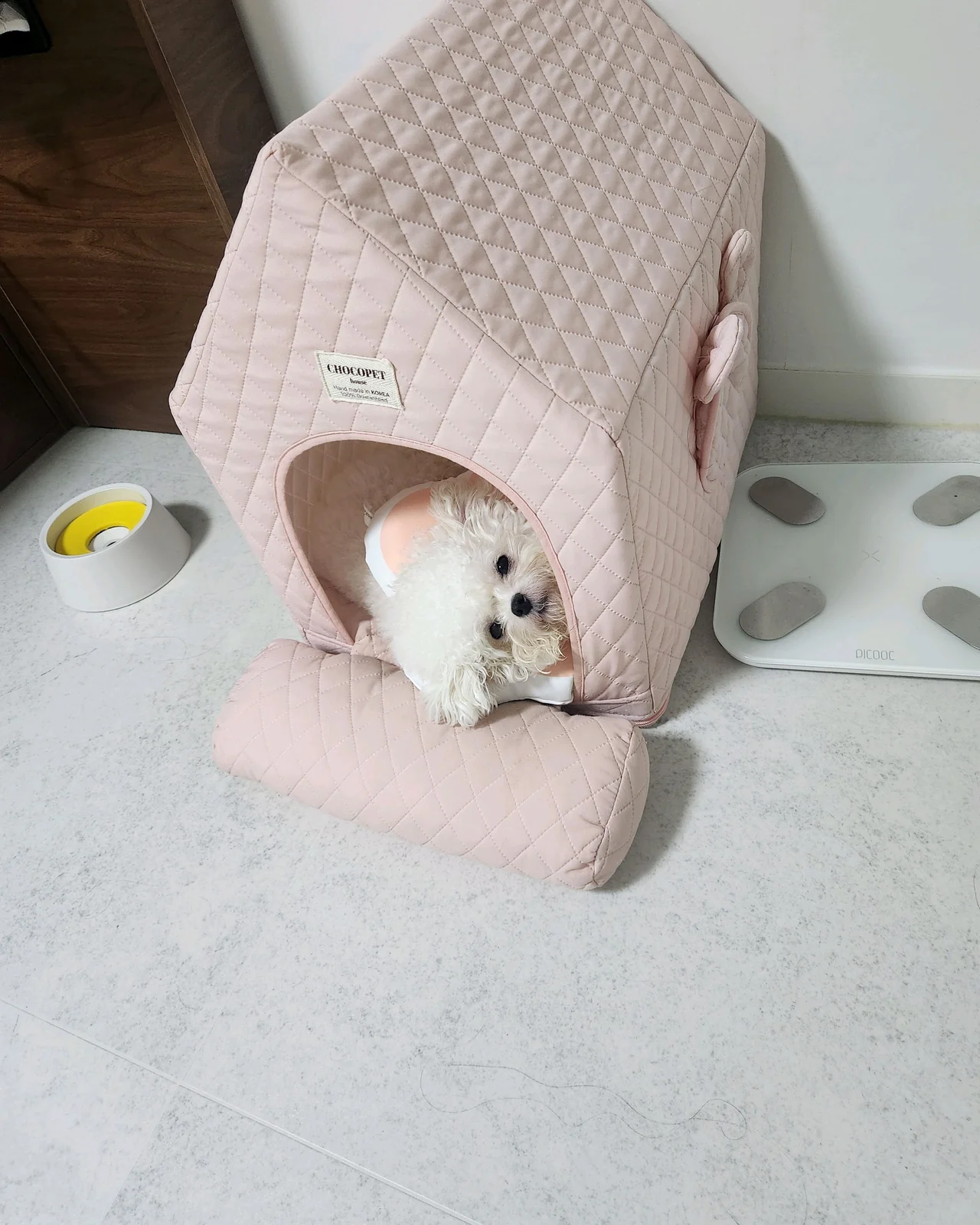 리뷰 사진 1