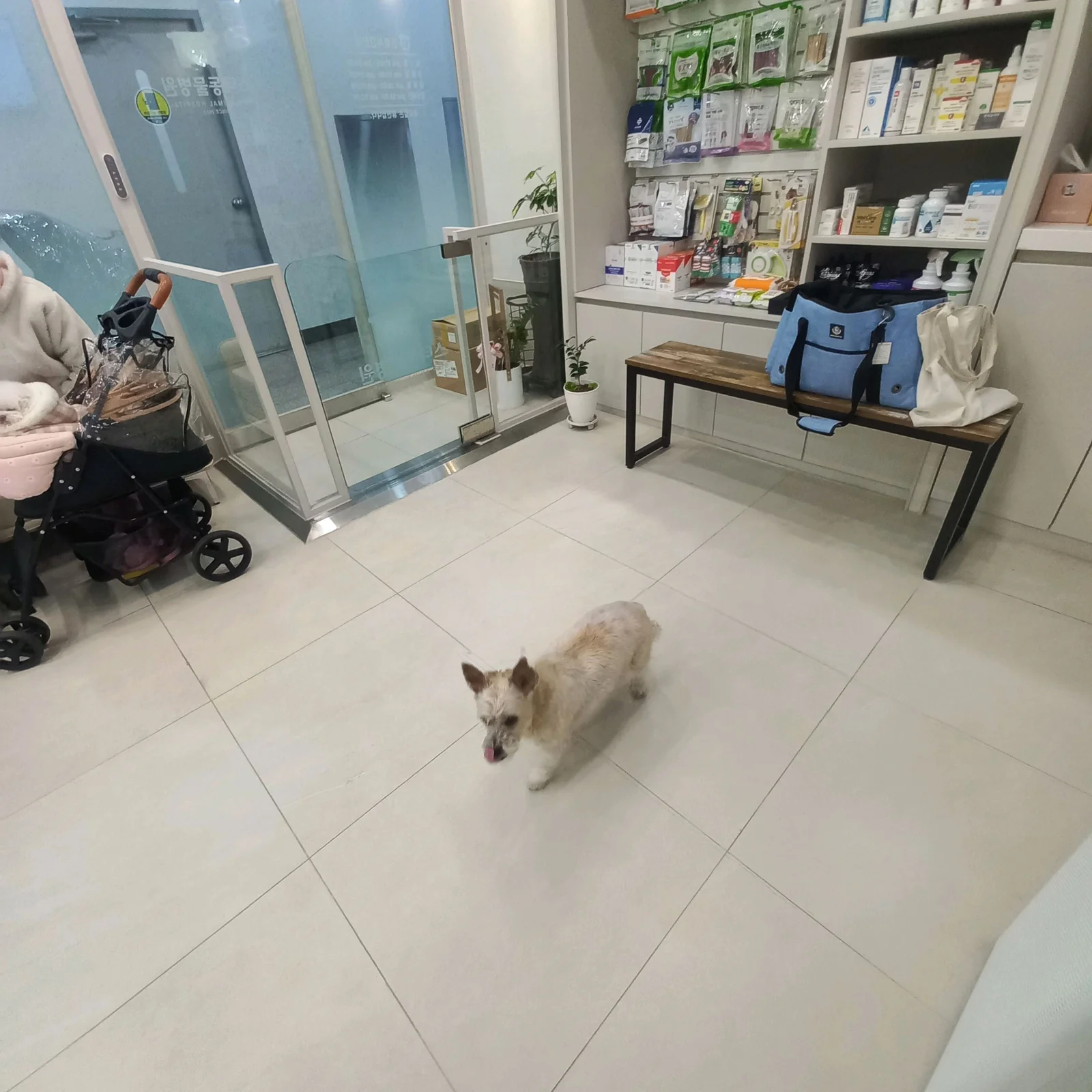 리뷰 사진 3