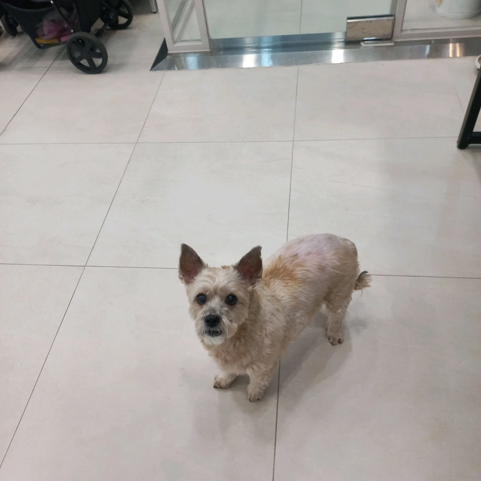 리뷰 사진 6