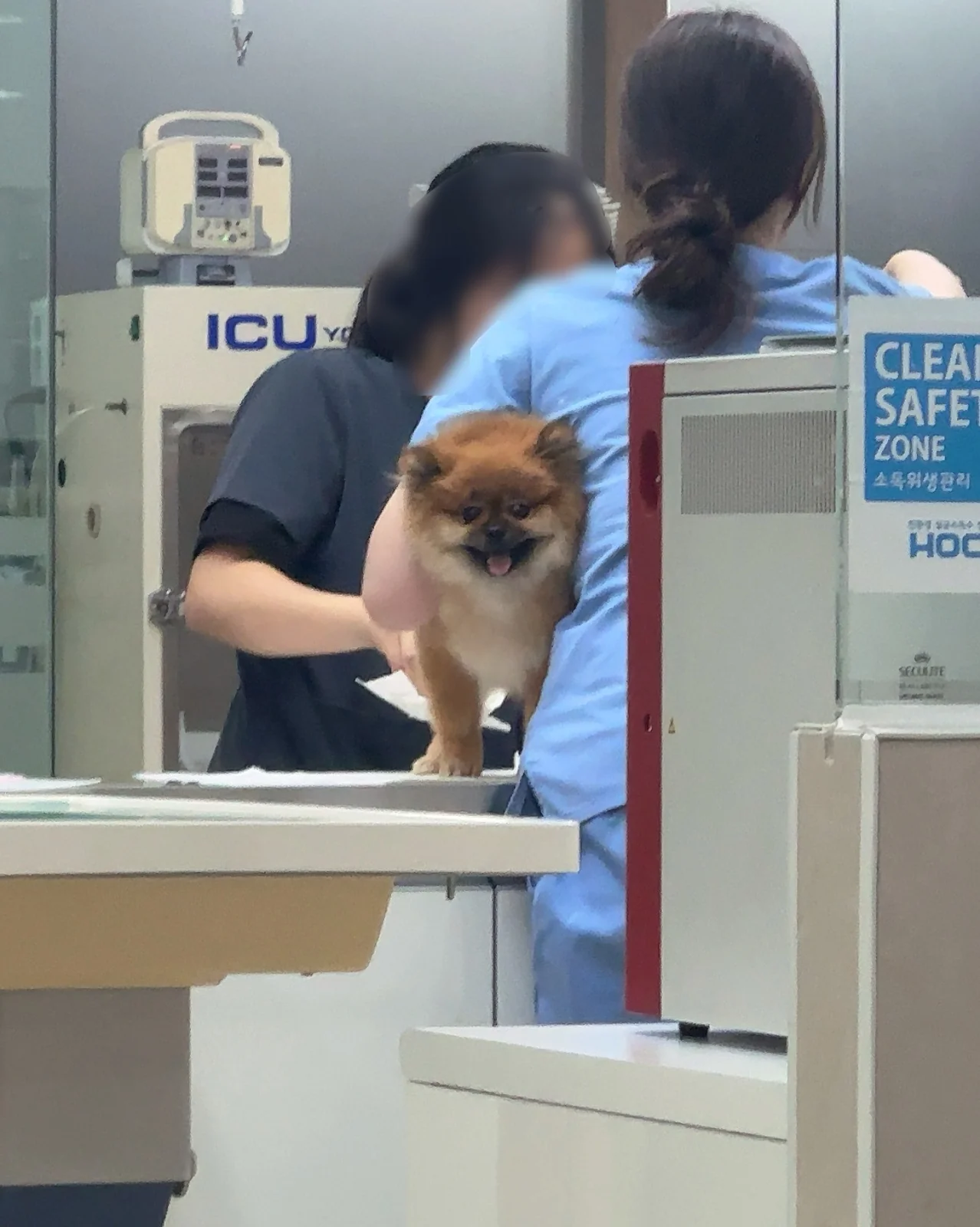 리뷰 사진 1