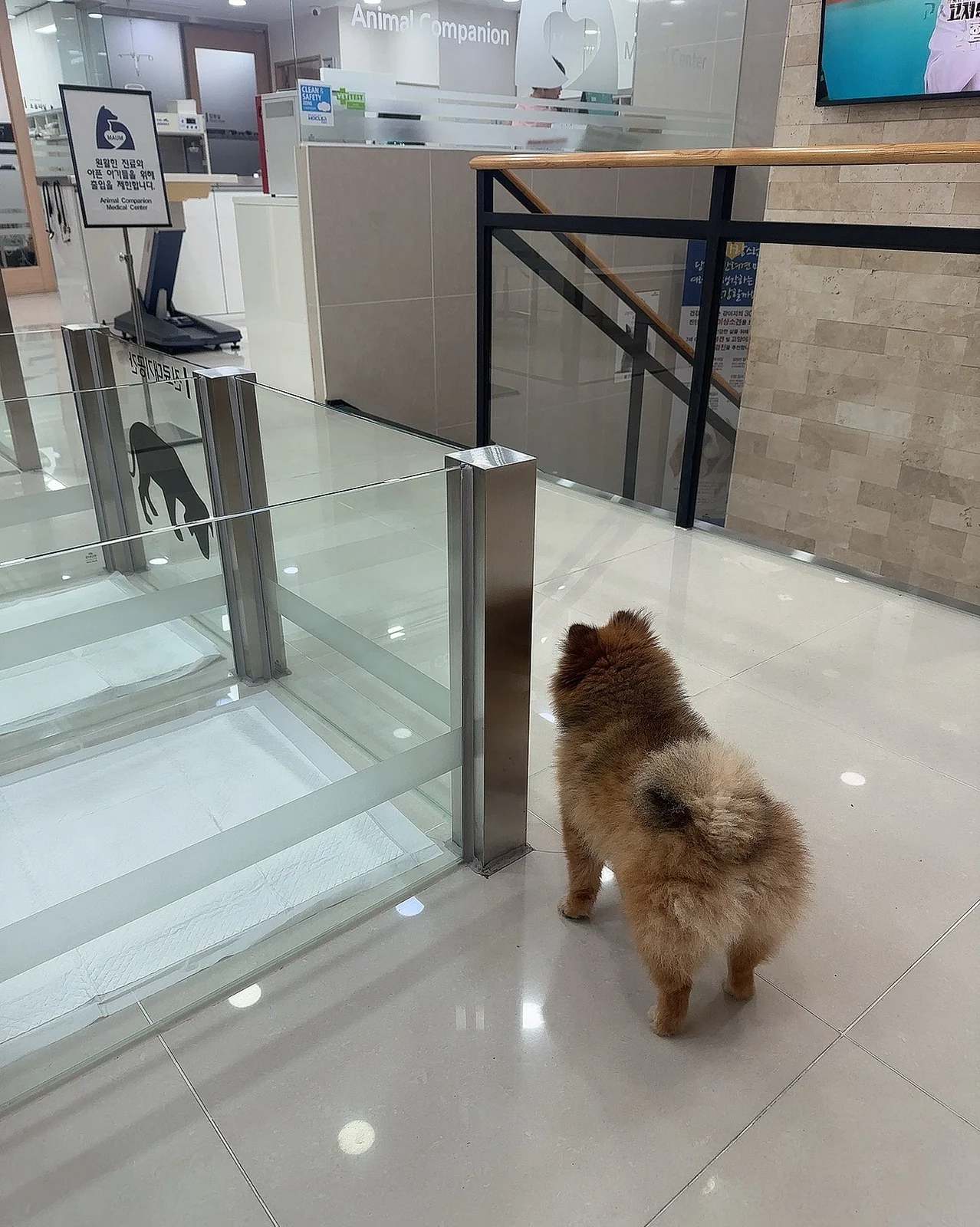 리뷰 사진 2