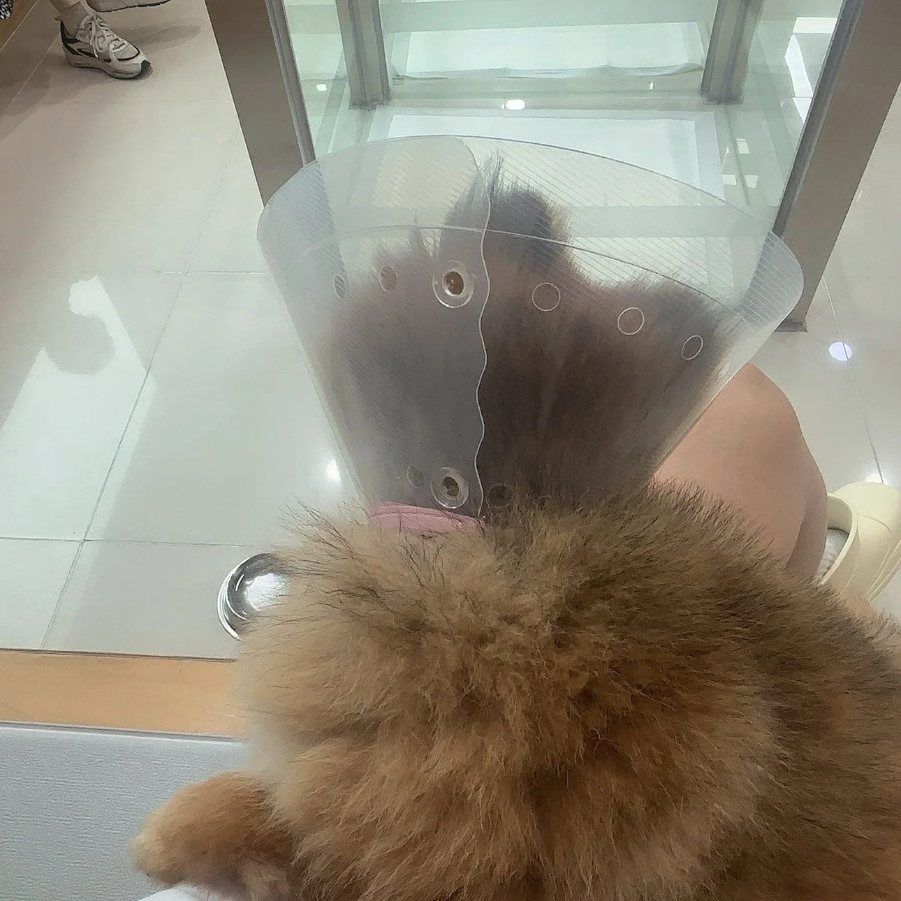 리뷰 사진 3