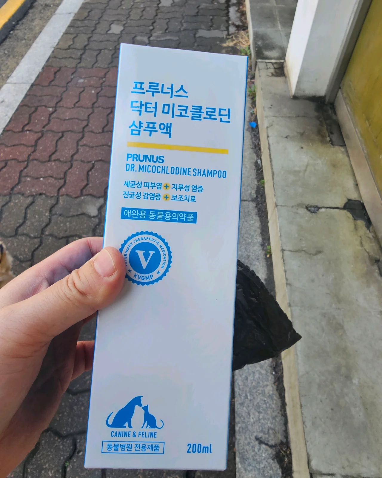 리뷰 사진 1