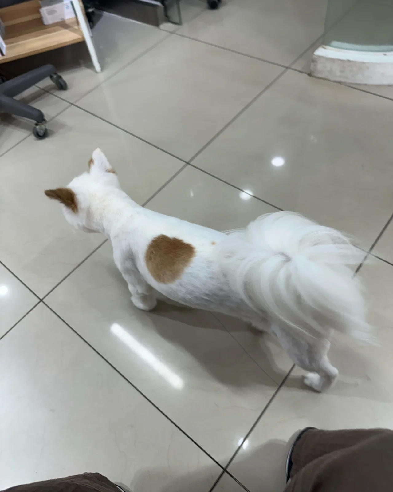 리뷰 사진 1