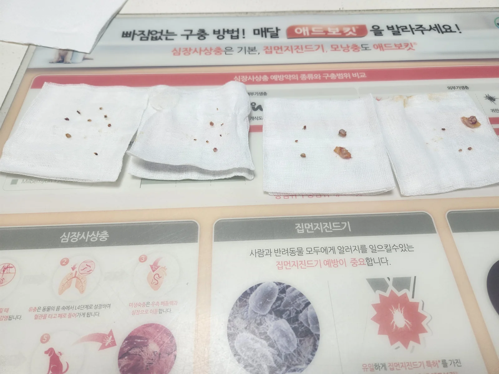 리뷰 사진 1