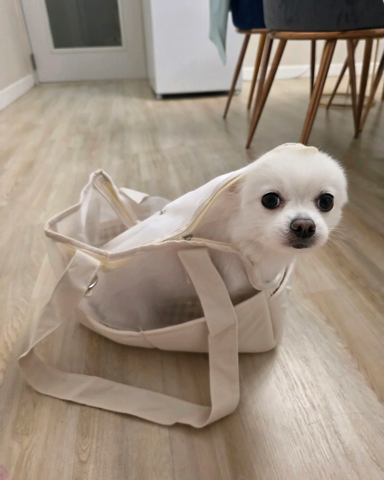 리뷰 사진 1