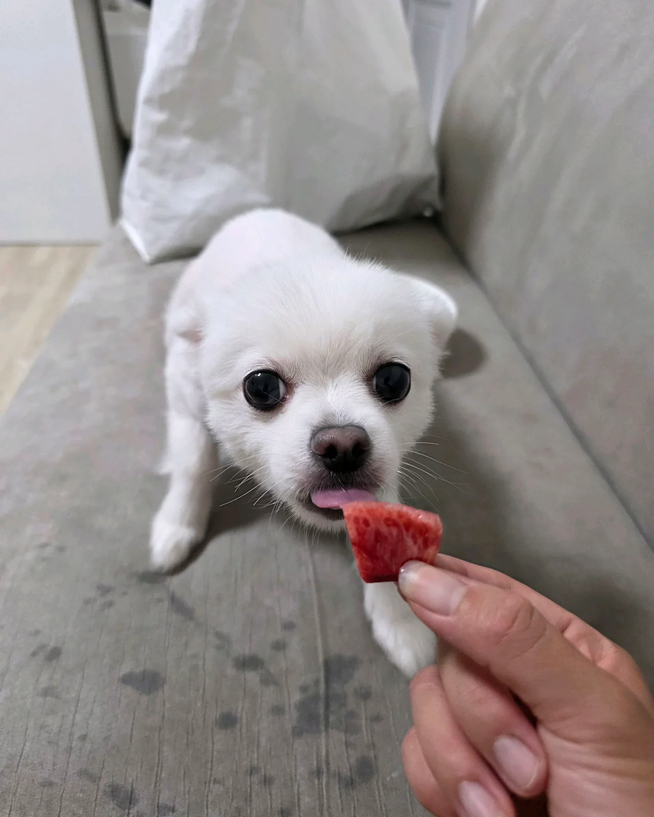 리뷰 사진 3