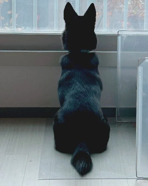 리뷰 사진 1