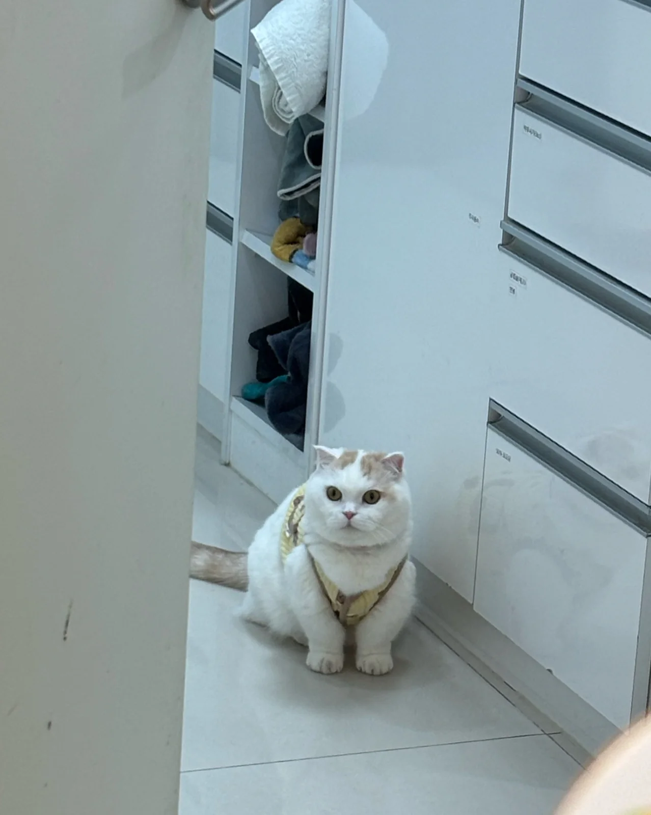 리뷰 사진 1