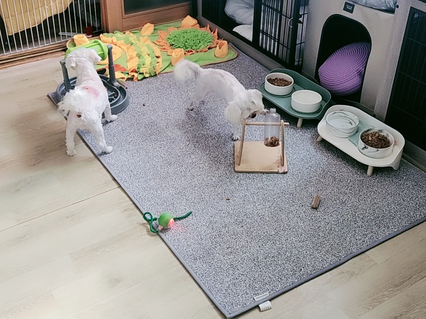 리뷰 사진 1