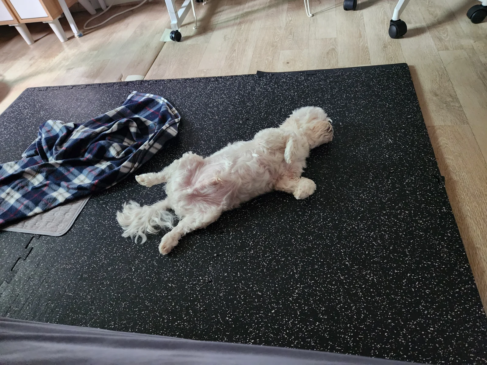 리뷰 사진 1