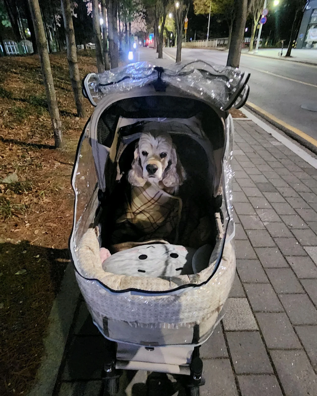 리뷰 사진 3