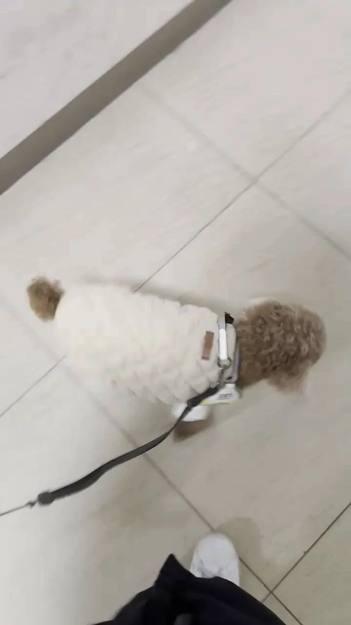 리뷰 사진 1