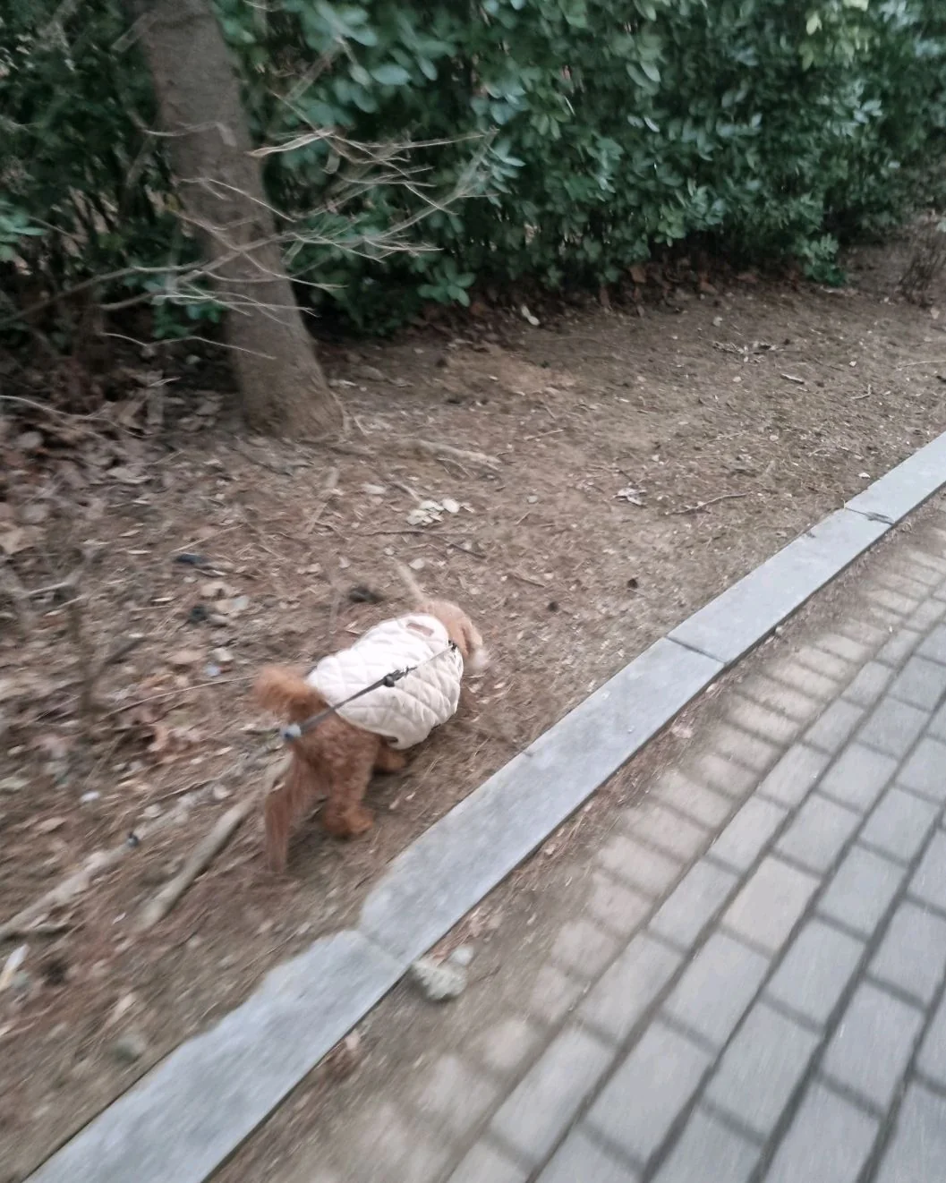 리뷰 사진 2
