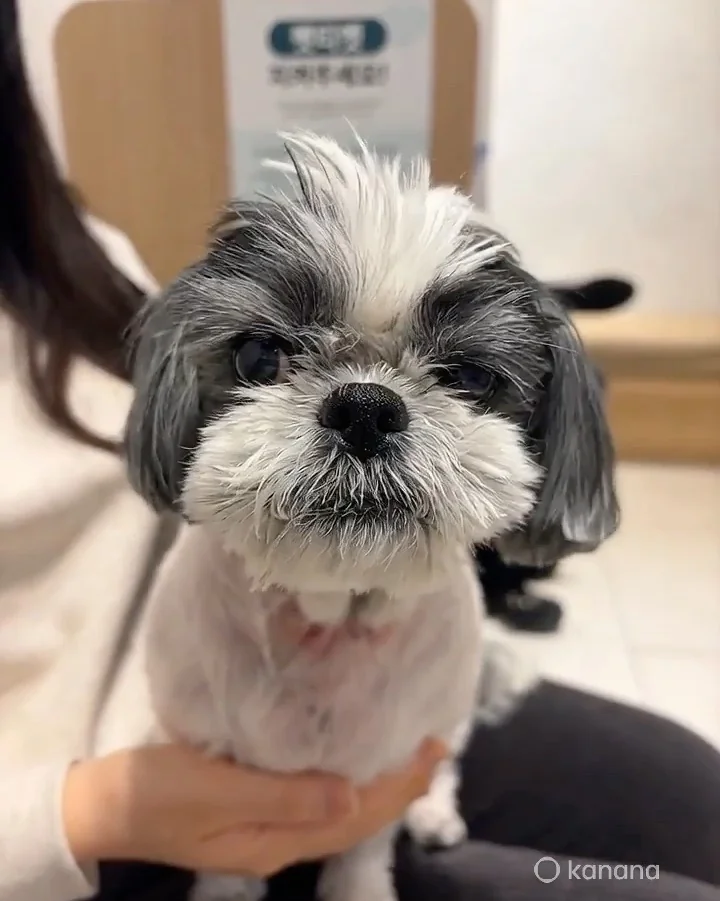 리뷰 사진 1