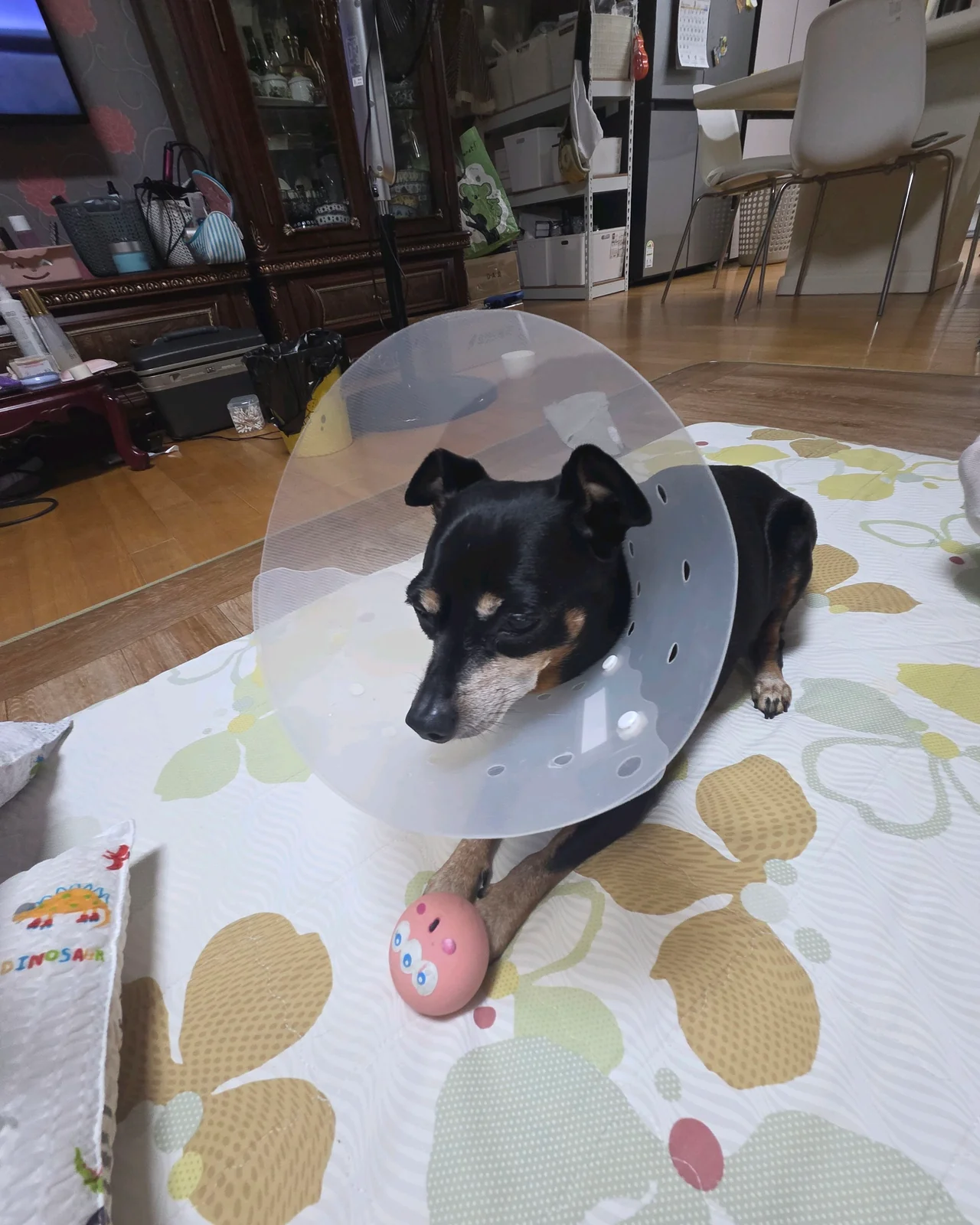 리뷰 사진 1