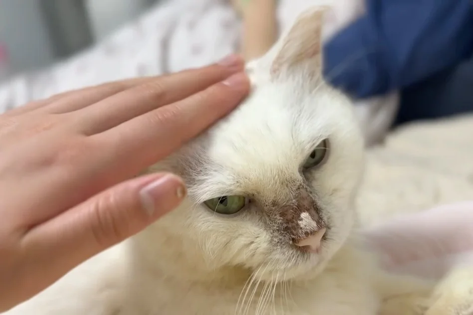 리뷰 사진 2