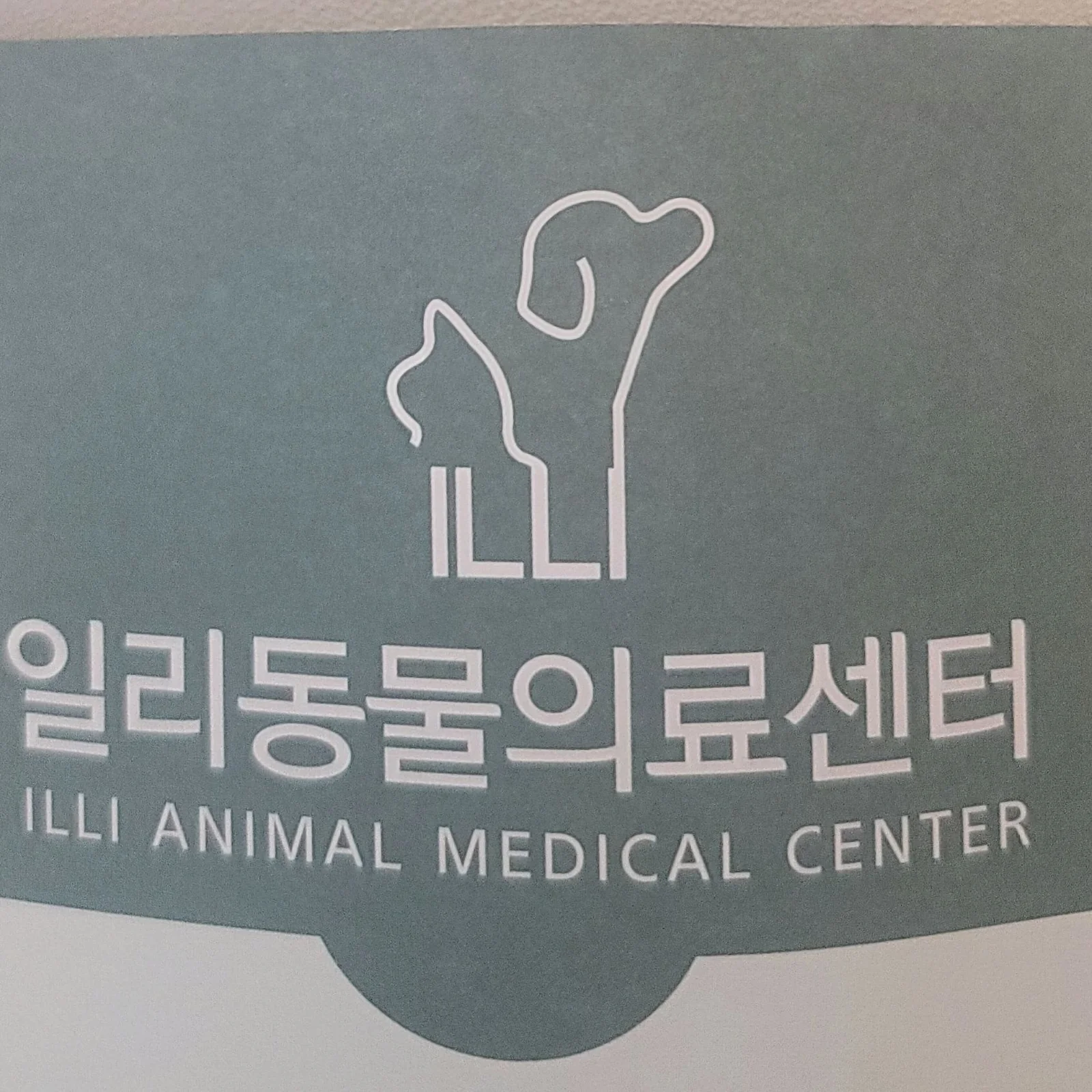 리뷰 사진 1