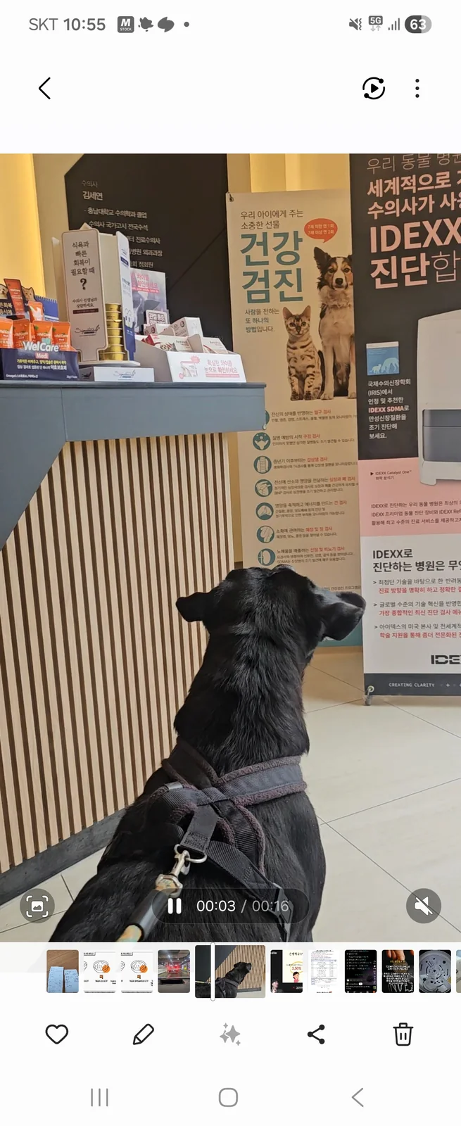 리뷰 사진 1