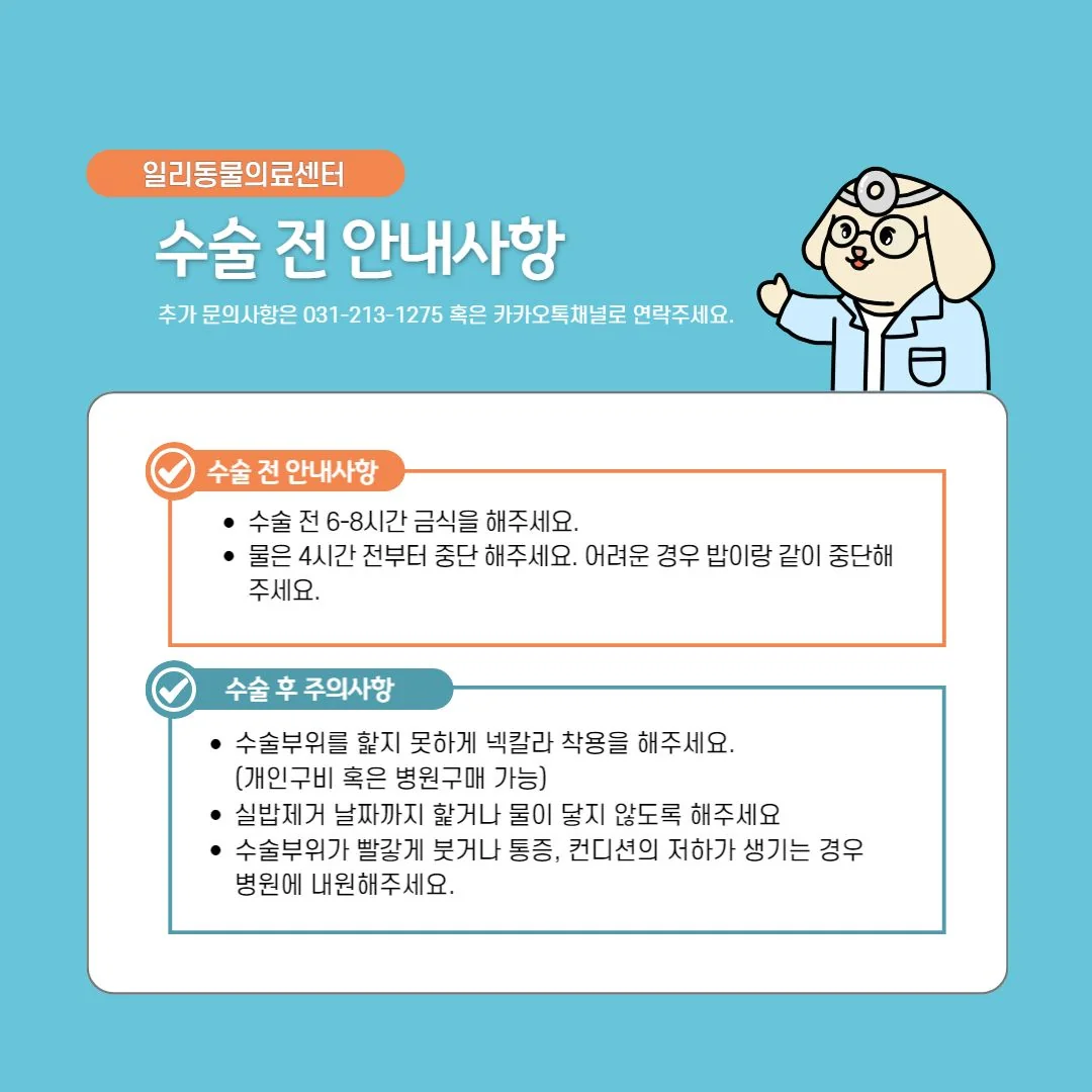 리뷰 사진 1
