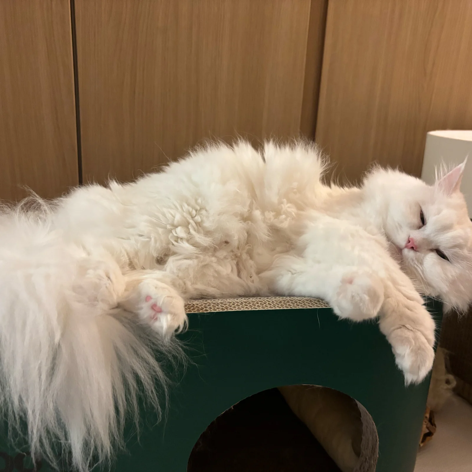 리뷰 사진 2