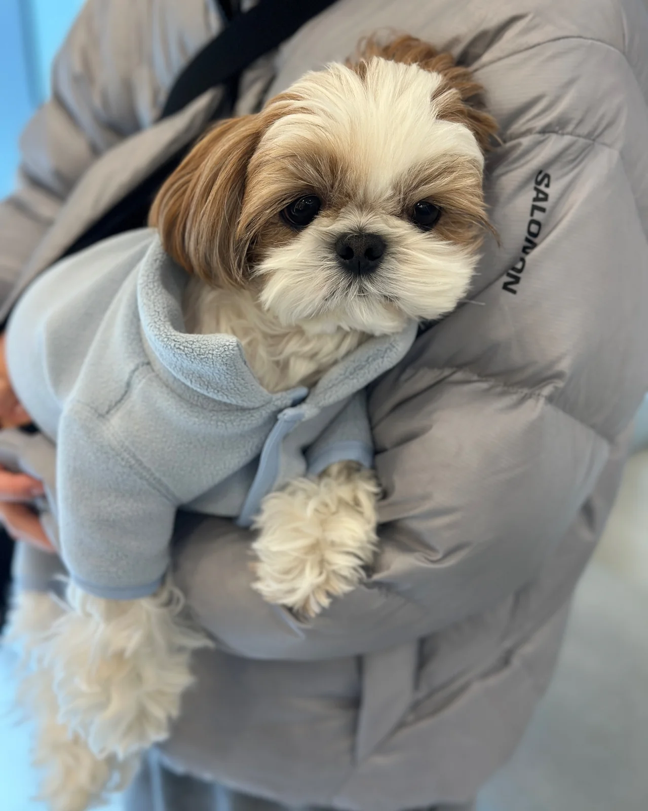리뷰 사진 2
