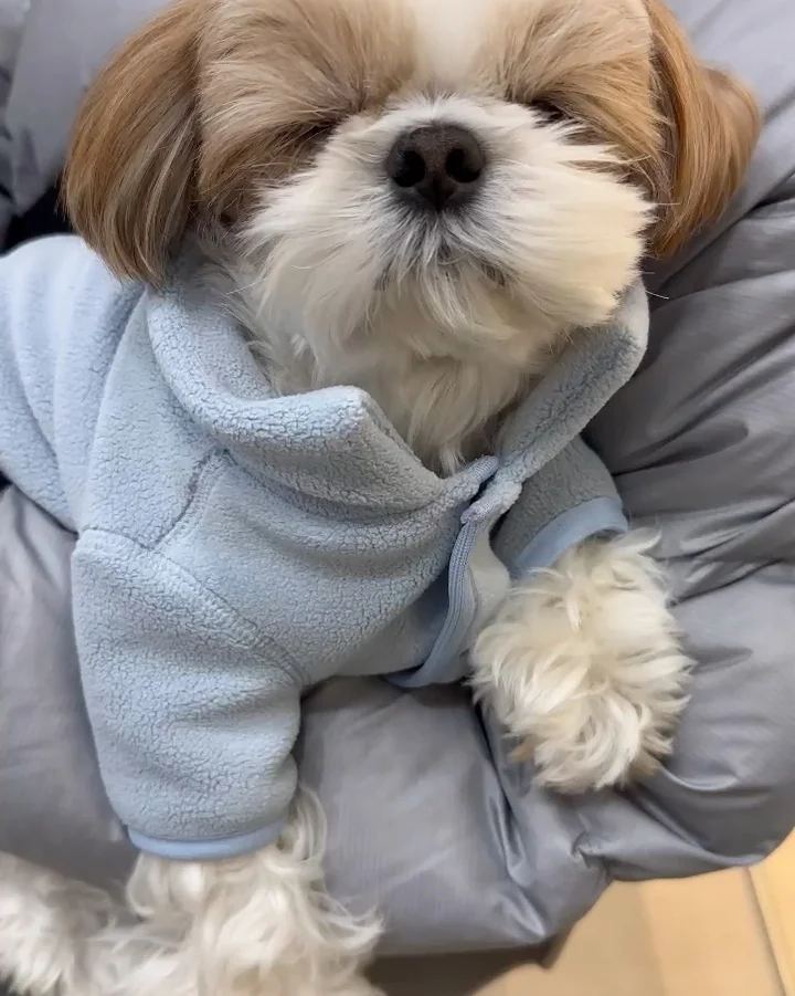 리뷰 사진 3