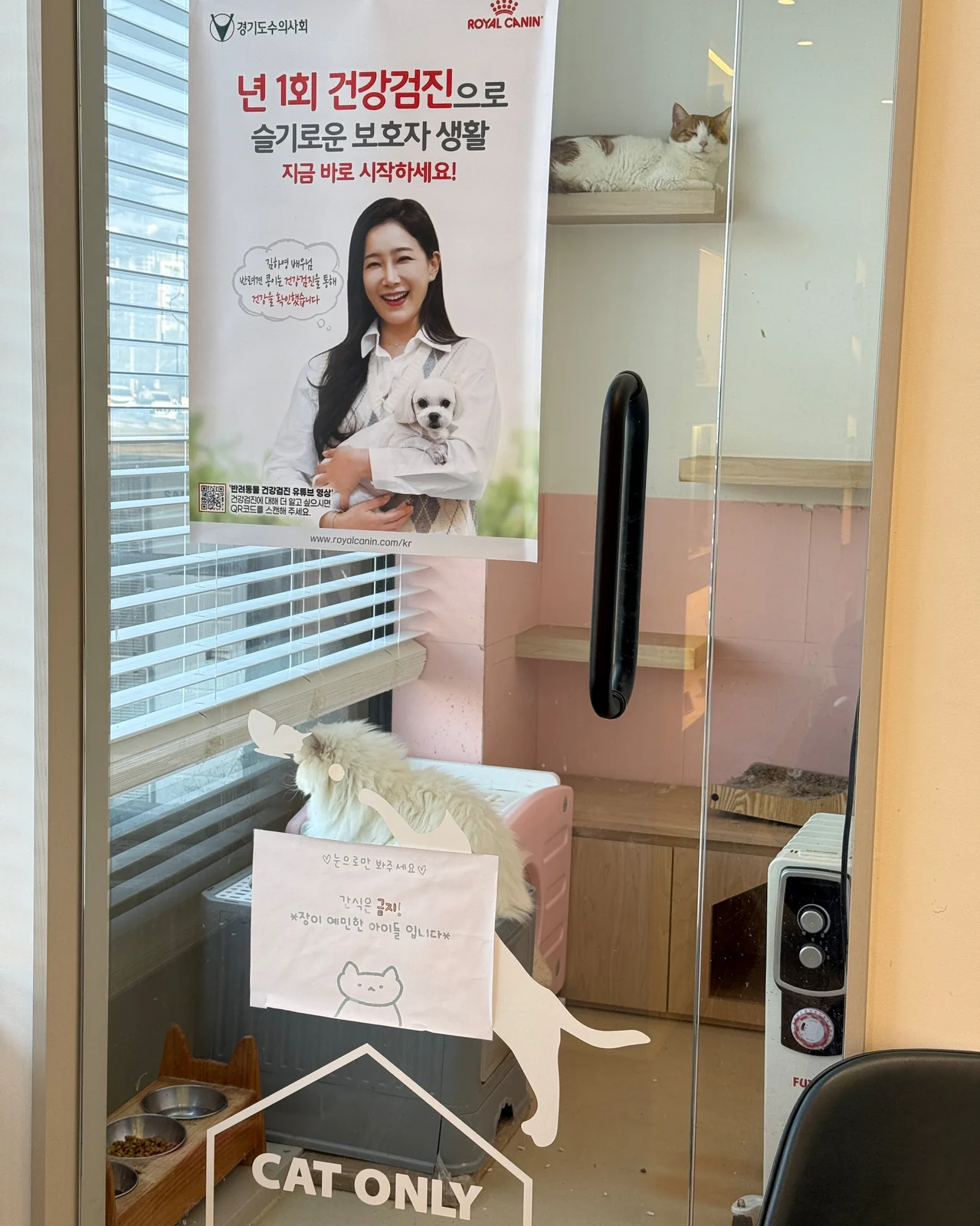 리뷰 사진 1