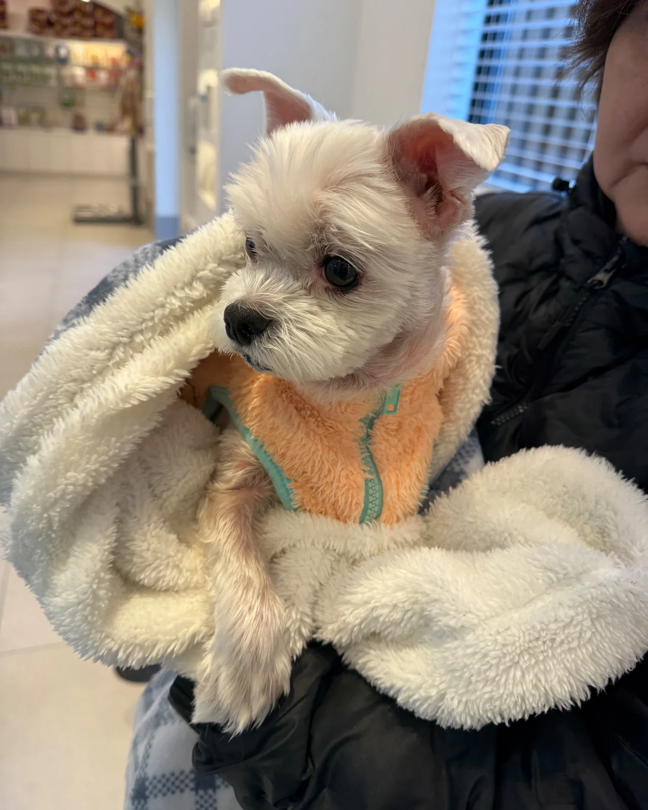 리뷰 사진 1