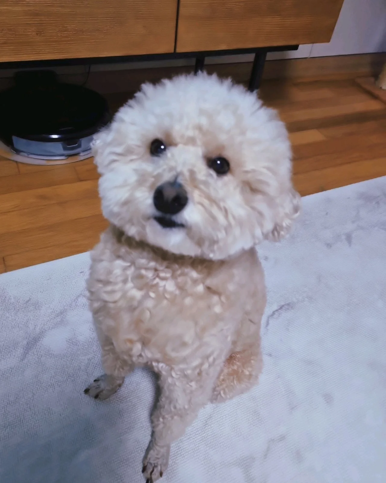 리뷰 사진 1