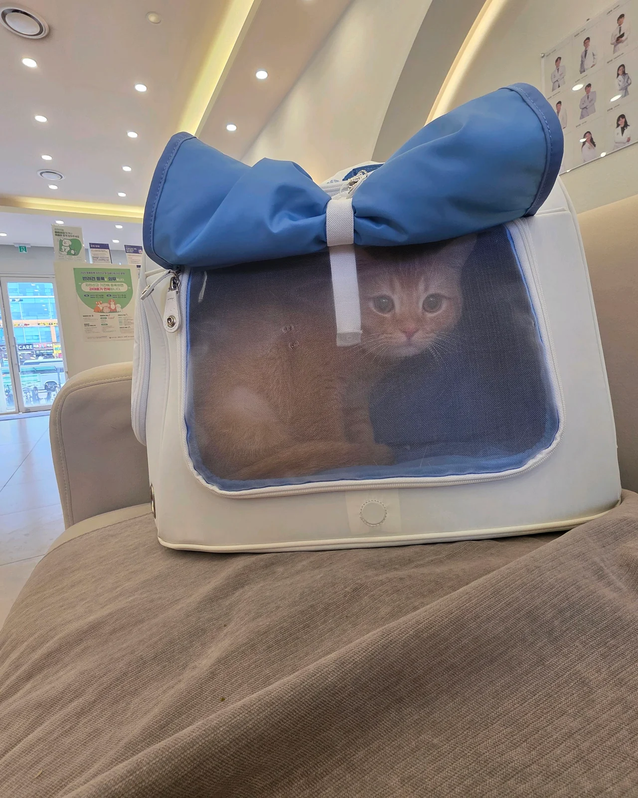 리뷰 사진 1