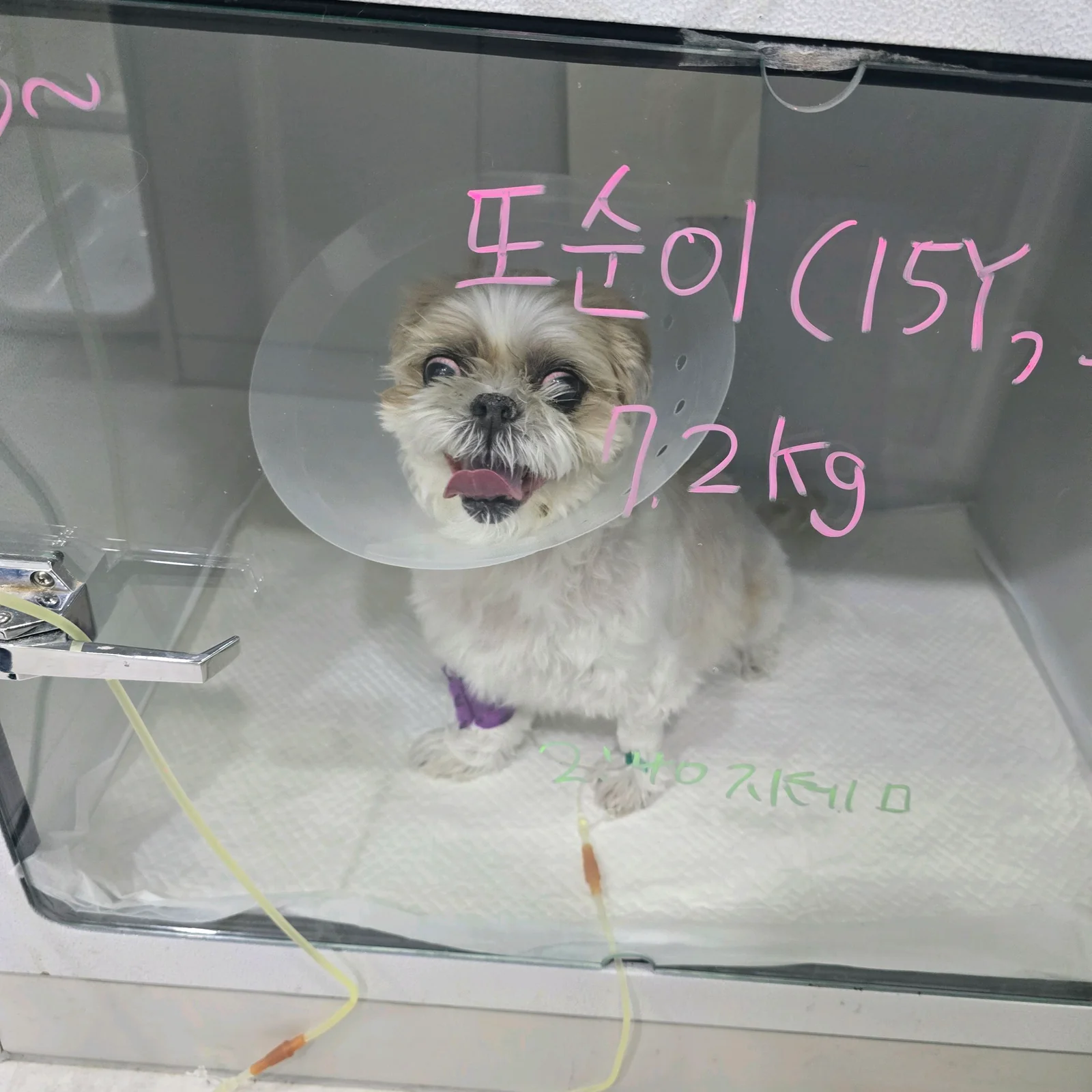 리뷰 사진 1