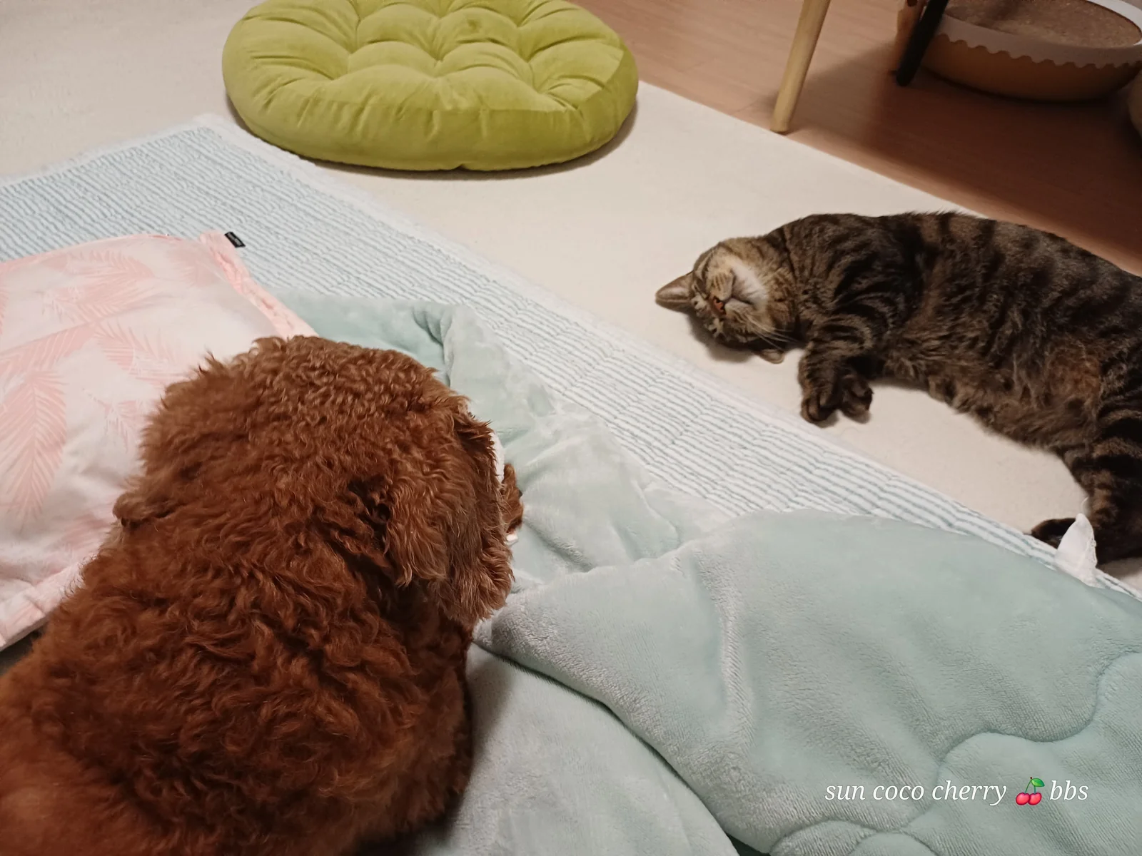 리뷰 사진 3