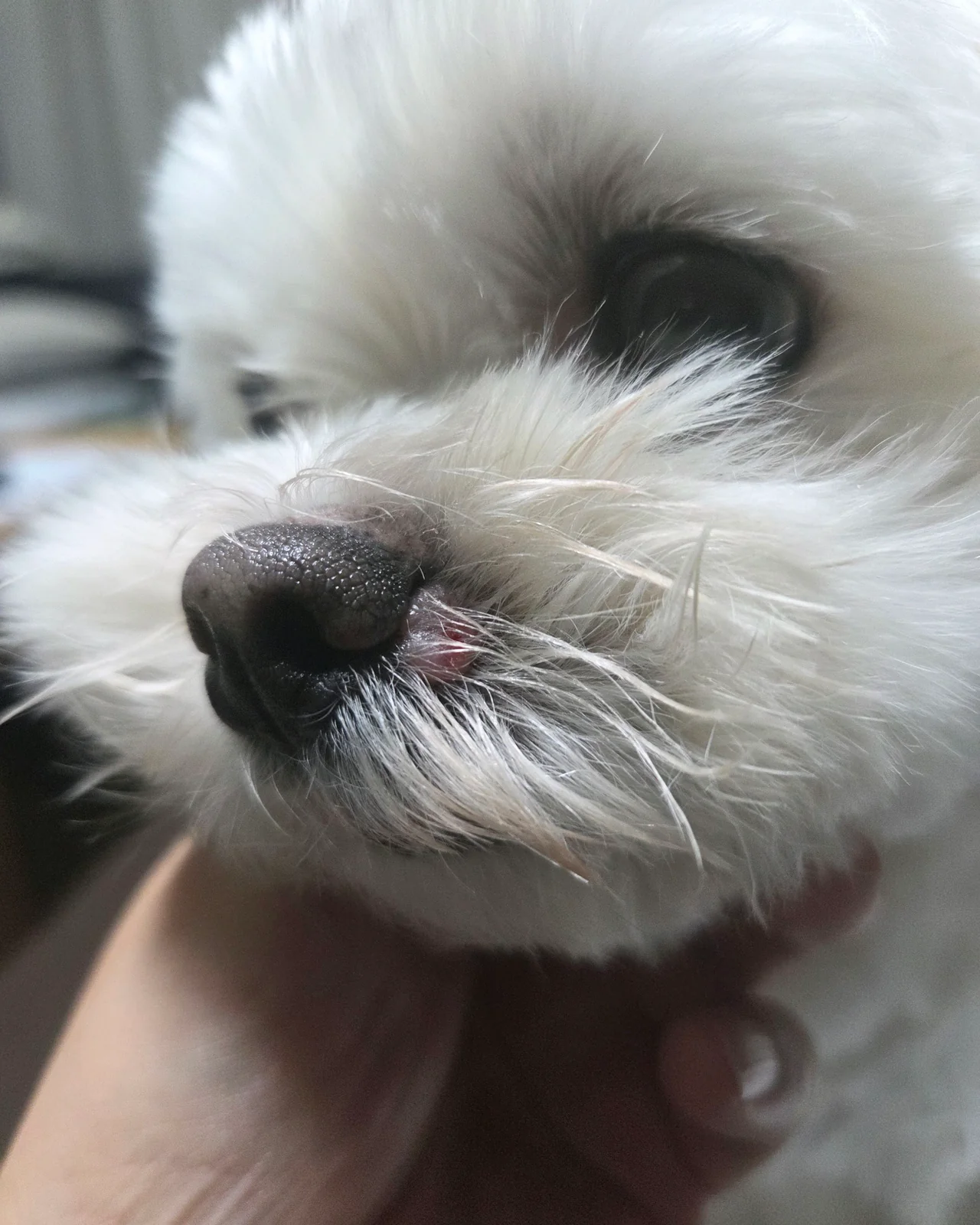 리뷰 사진 1